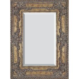 Chateau Breanna Mirror 54X71TG