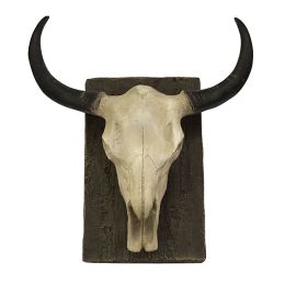 Steer Skull - Wall Mount