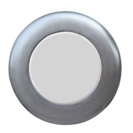 Brushed Silver Round