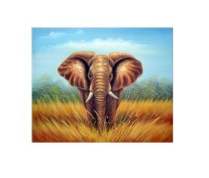 African Elephant Canvas Wall Art