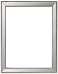 Brushed Spectrum Frame (Size: 12X16-690)